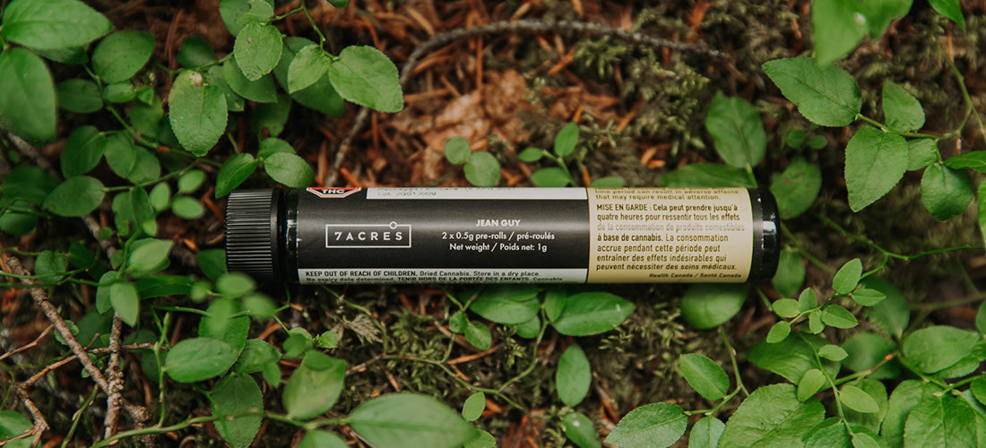 Explore Jean Guy, an homage to french Canadian History. Spiritleaf Inc